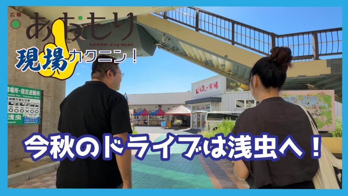 ゆ～さ浅虫に行ったらマルシェもやってた｜広報現場カクニンR7.10月号