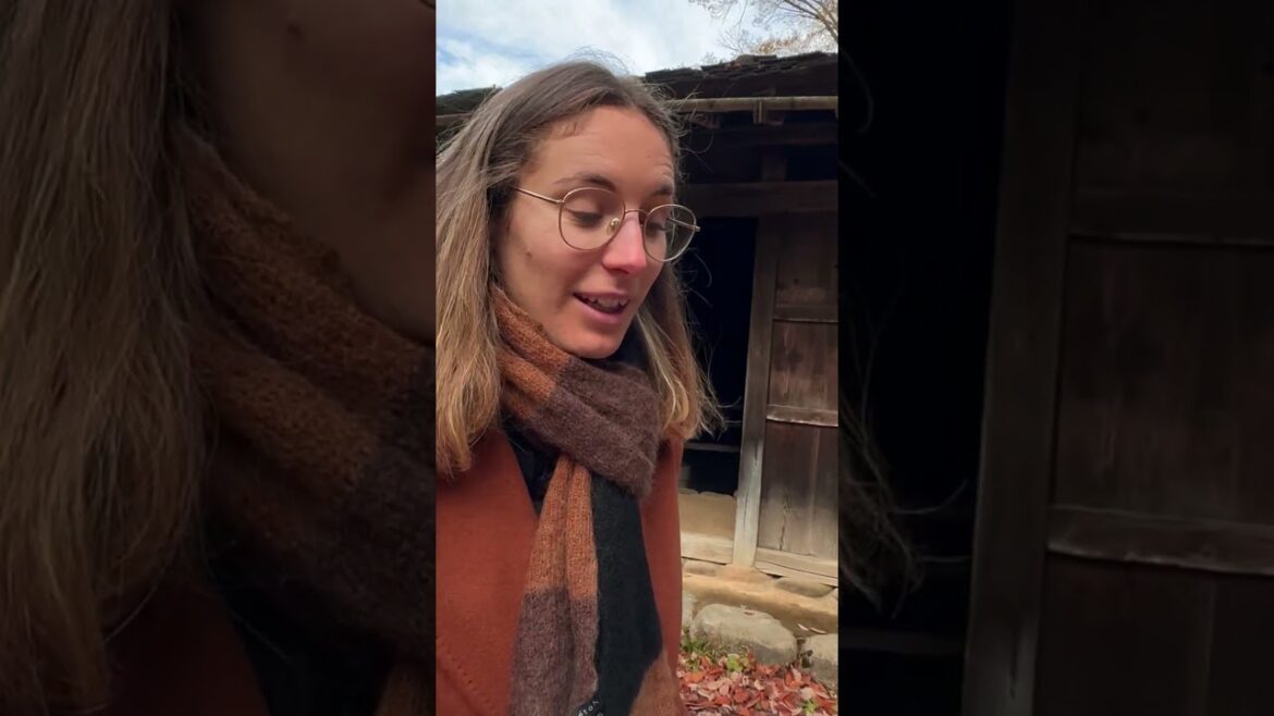 🇯🇵 Everything you need to know before visiting Japan in Fall | Japan in November 🍁 🇯🇵 Everything you need to know before visiting Japan in Fall | Japan in November 🍁