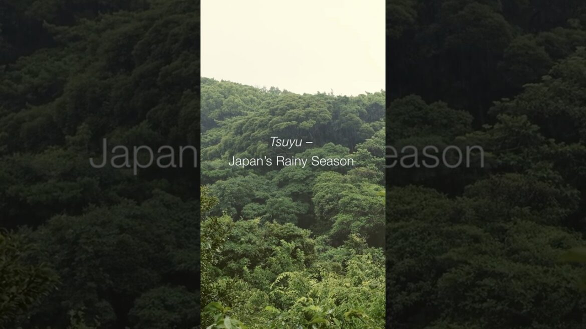 Tsuyu: Japan’s Rainy Season – Izu Peninsula, Shizuoka Tsuyu: Japan’s Rainy Season – Izu Peninsula, Shizuoka