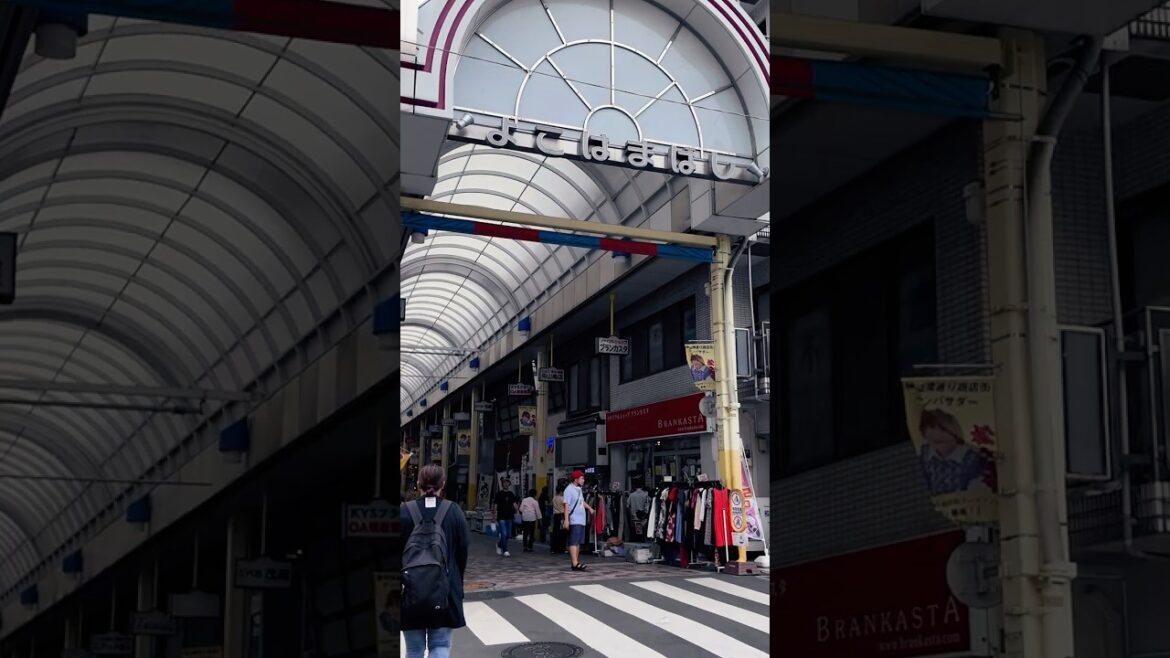 A Walk Through Yokohama’s Yokohamabashi Shopping Street,Japan! #japan #4k #walkingtour