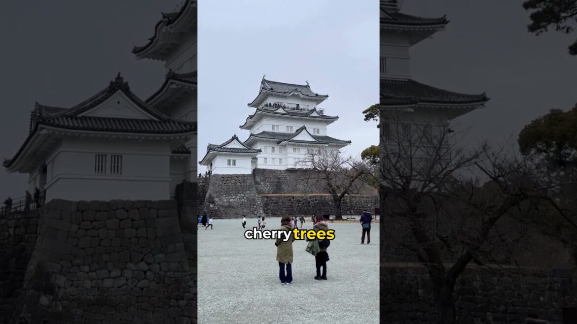 Kanagawa Japan: Yokohama Chinatown, Odawara Castle & Enoshima Island ๐๐ฏ๐ฅก Kanagawa Japan: Yokohama Chinatown, Odawara Castle & Enoshima Island ๐๐ฏ๐ฅก