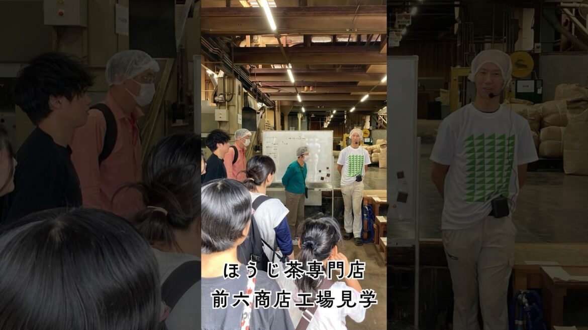 【Shizuoka tea  experience】Joined Maeroku Shoten tea factory tour. 静岡茶町のほうじ茶専門店、前六商店の工場見学に参加しました。