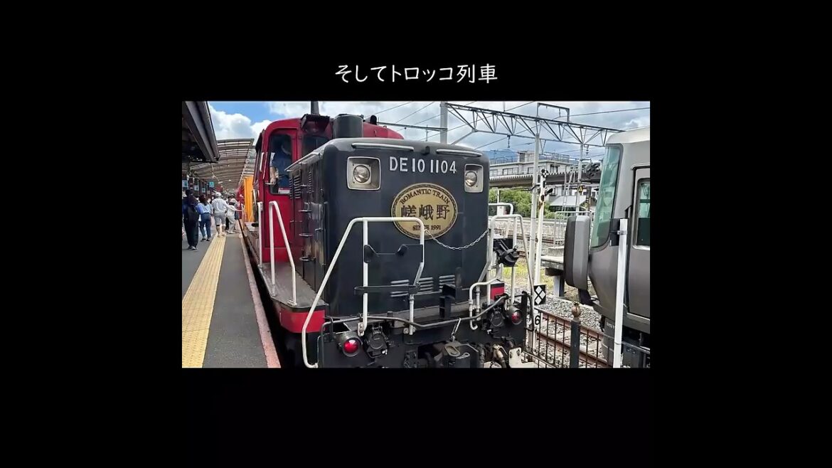 京都一日旅...トロッコ列車・妙心寺そして上七軒ビアガーデン #shorts