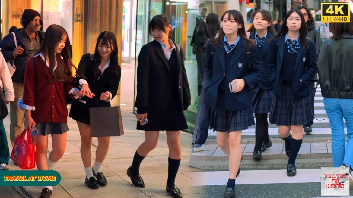 4K HDR Japan travel 2025 | Walk in Harajuku(原宿)Tokyo Japan |Relaxing Natural City ambience 4K HDR Japan travel 2025 | Walk in Harajuku(原宿)Tokyo Japan |Relaxing Natural City ambience