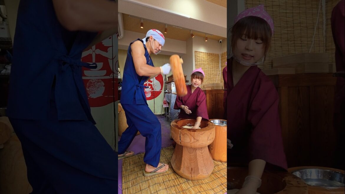 Japanese Kyoto street food mochi