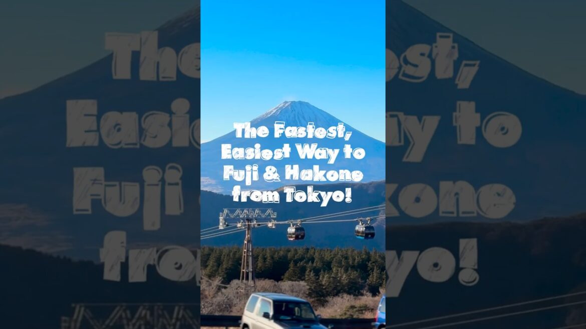 Mt. Fuji & Hakone the Easy Way! No Stress, Just a Bus Tour!  #travel #japan