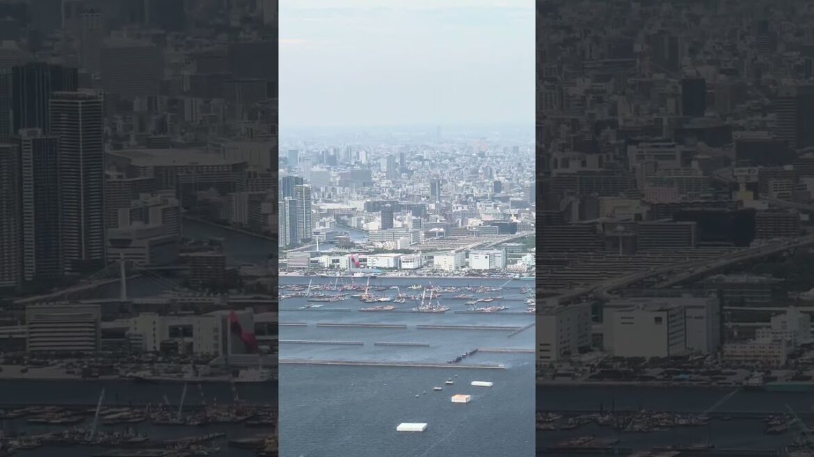 Little bit of Tokyo from above