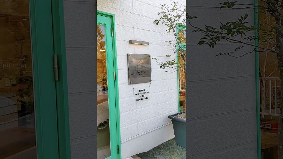 cheesecake, Shizuoka, Japan #13