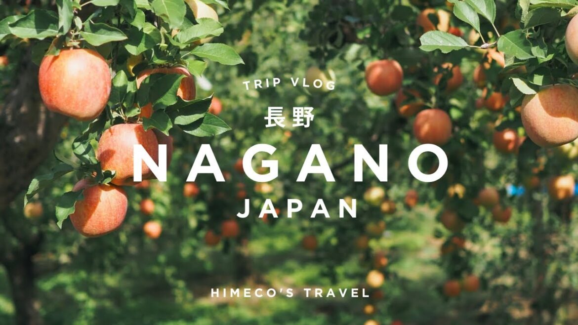 【長野】松本・小布施・軽井沢ぐるっとめぐる大人のひとり旅|カメラ片手に観光とグルメ、カフェを満喫|どこかにビューーン旅行|NAGANO 【長野】松本・小布施・軽井沢ぐるっとめぐる大人のひとり旅|カメラ片手に観光とグルメ、カフェを満喫|どこかにビューーン旅行|NAGANO