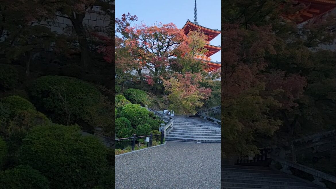 Kyoto Aesthetics | Japan Travel Goals 🌸 🇯🇵