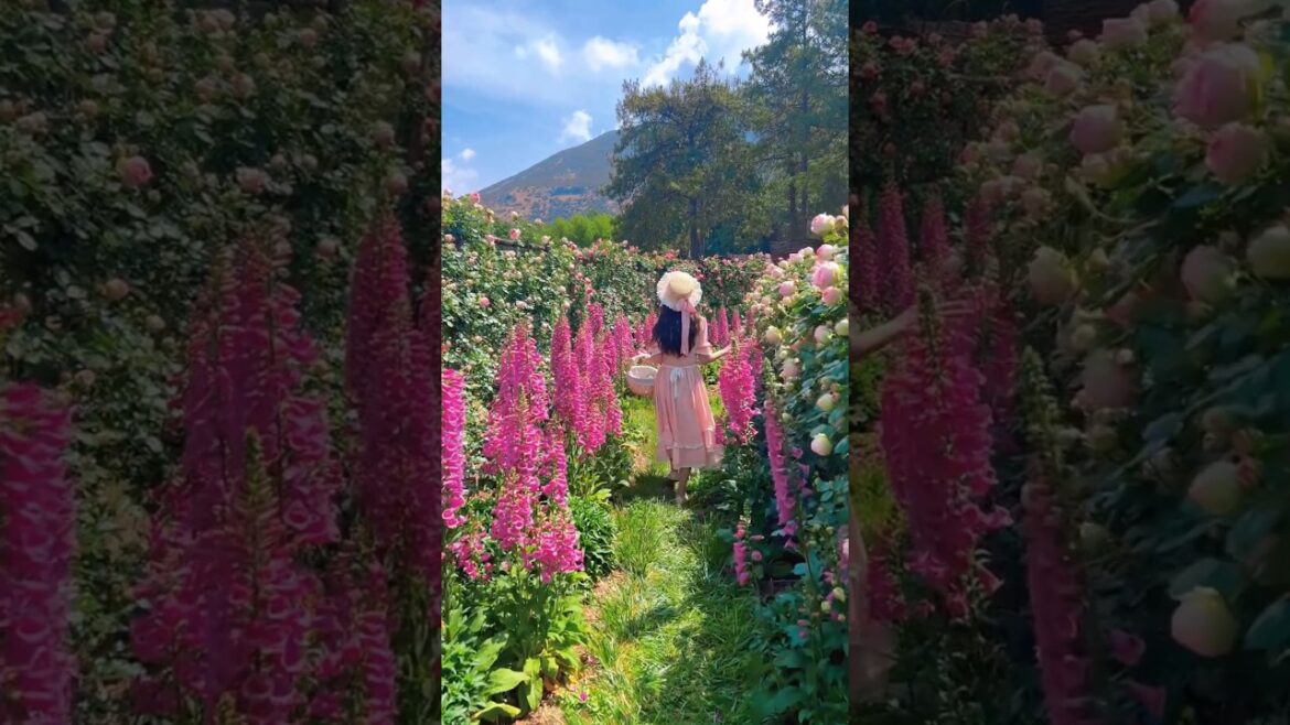 Most beautiful, places in the earth#views #viral #viralvideo #nature #beautiful # #gorgeousviews