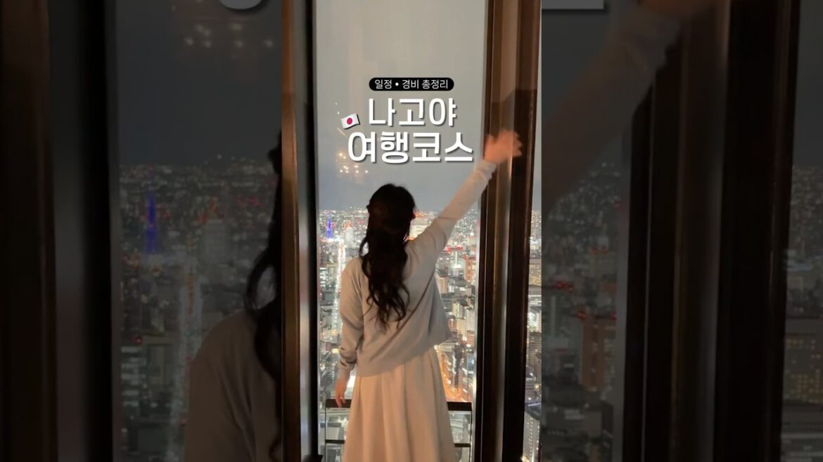 나고야 4박5일 여행코스 총정리! 🍜🍣 #나고야여행 #나고야맛집 나고야 4박5일 여행코스 총정리! 🍜🍣 #나고야여행 #나고야맛집