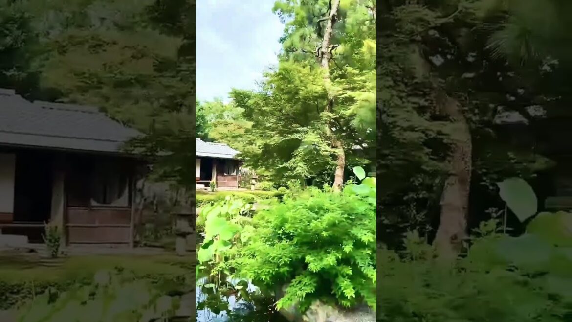 【KYOTO】Must-See Tourist Attraction – Old Mitsui Family Shimogamo Villa 【KYOTO】Must-See Tourist Attraction - Old Mitsui Family Shimogamo Villa