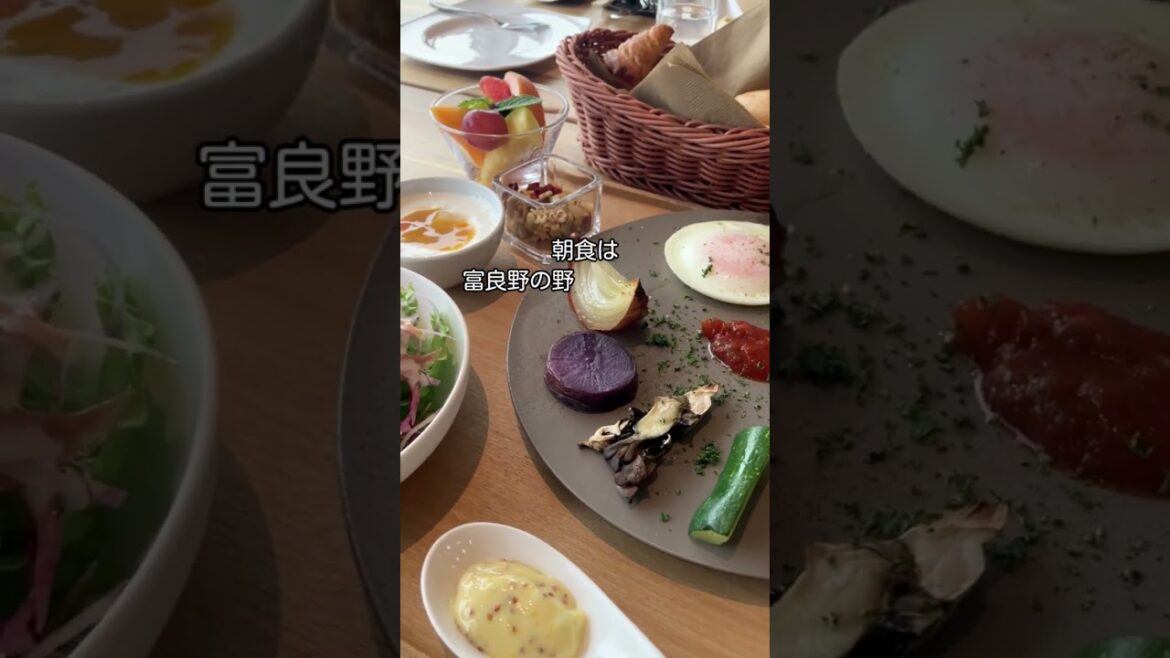 ハイクラスホテルの朝食付きが道民限定プライス✨今年リブランドOPENの「富良野ホテル FURANO HOTEL」ぐうたび北海道の「大満足★タイムセール」がお得★ #ぐうたび北海道 #道民限定 #富良野 ハイクラスホテルの朝食付きが道民限定プライス✨今年リブランドOPENの「富良野ホテル FURANO HOTEL」ぐうたび北海道の「大満足★タイムセール」がお得★ #ぐうたび北海道 #道民限定 #富良野