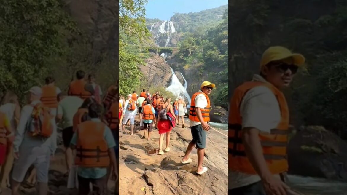 Dudhsagar Waterfall Ke Yeh View Ke Liyehi Log Ate hai Yahan
