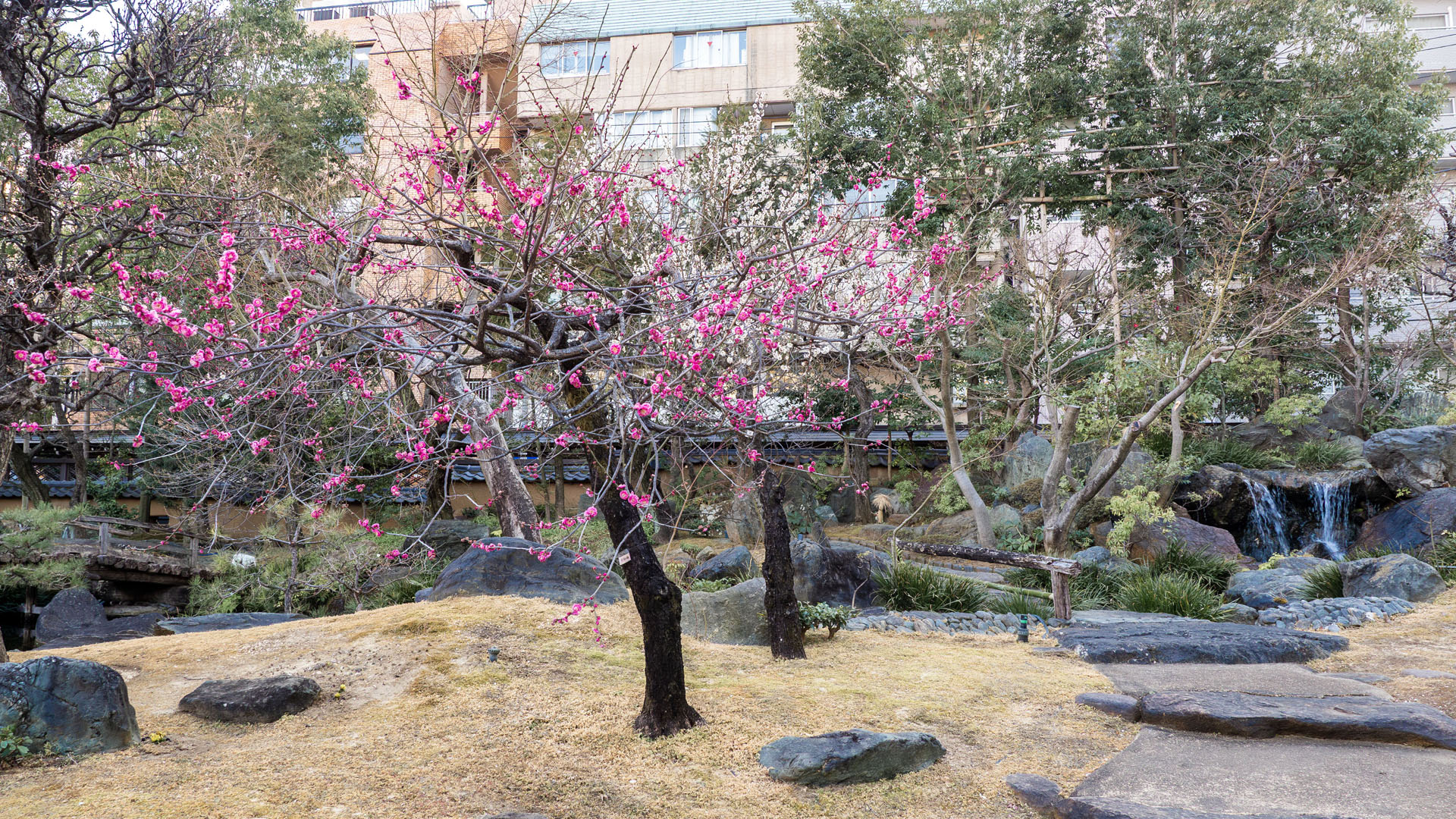 Yushima Tenjin Shrine
