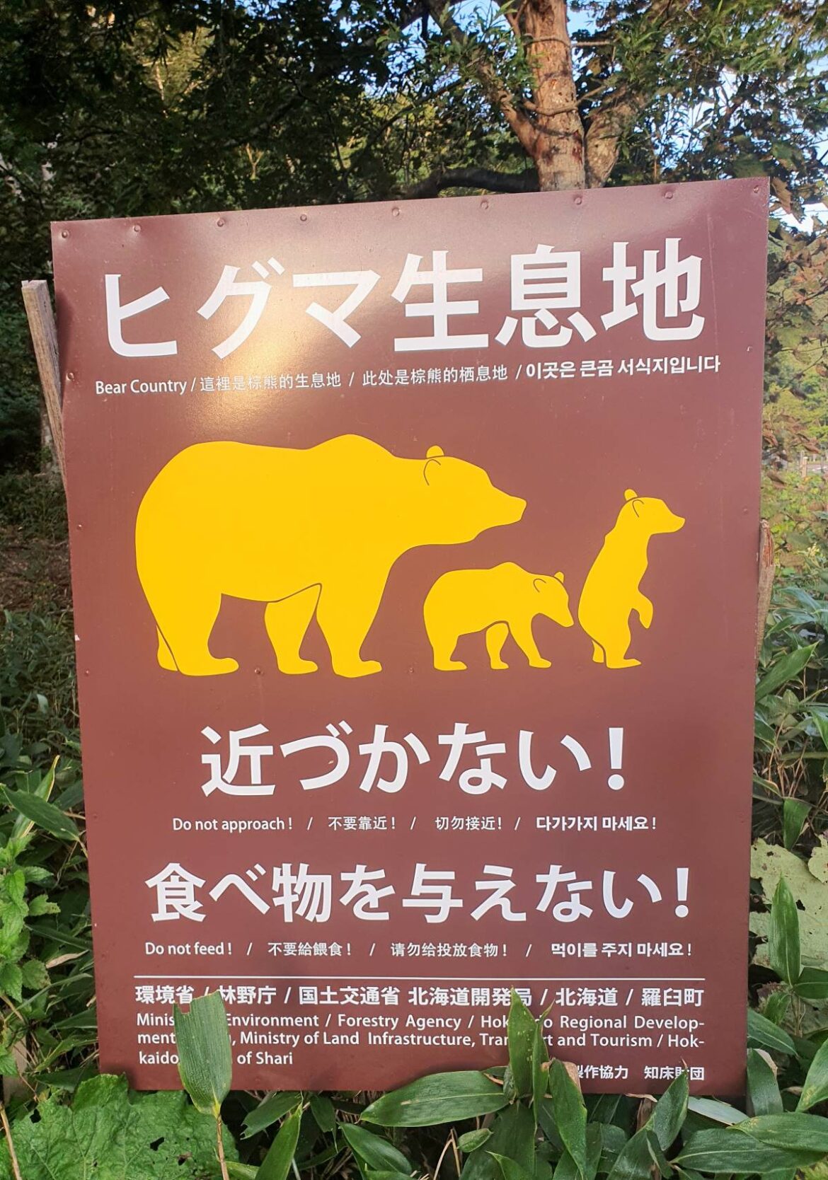 20250916_053416 Hokkaido Bears Agnes Tandler