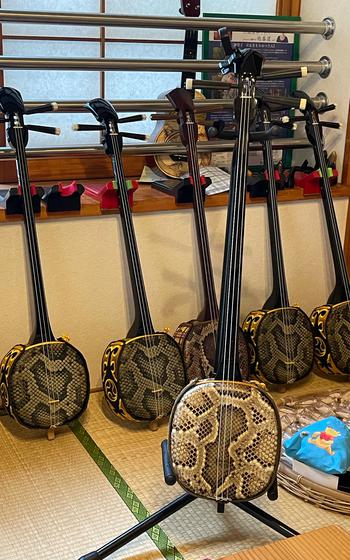 Some sanshin are lying on the wall.