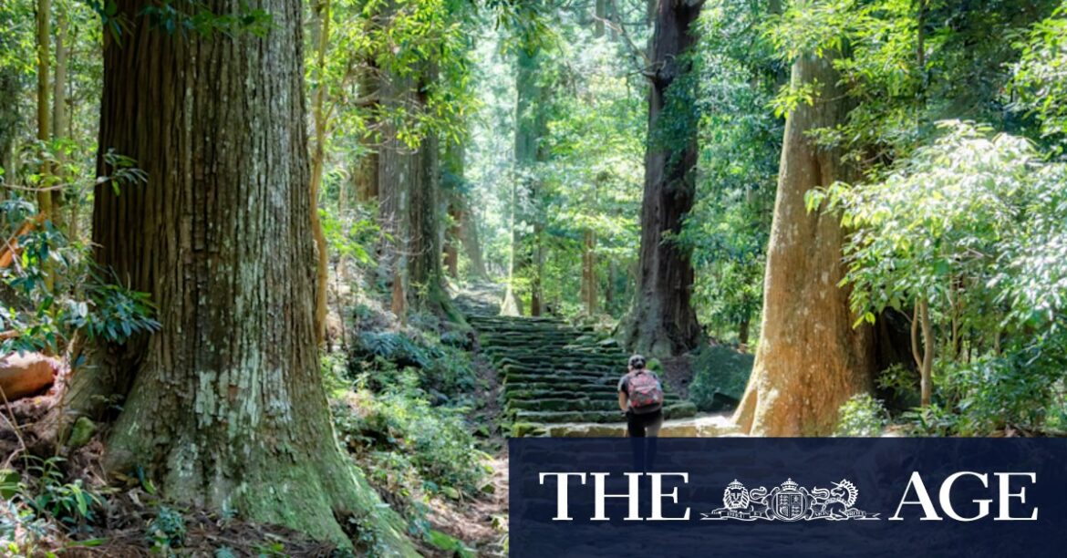 Explore Japan’s spiritual heart south of Osaka Explore Japan’s spiritual heart south of Osaka
