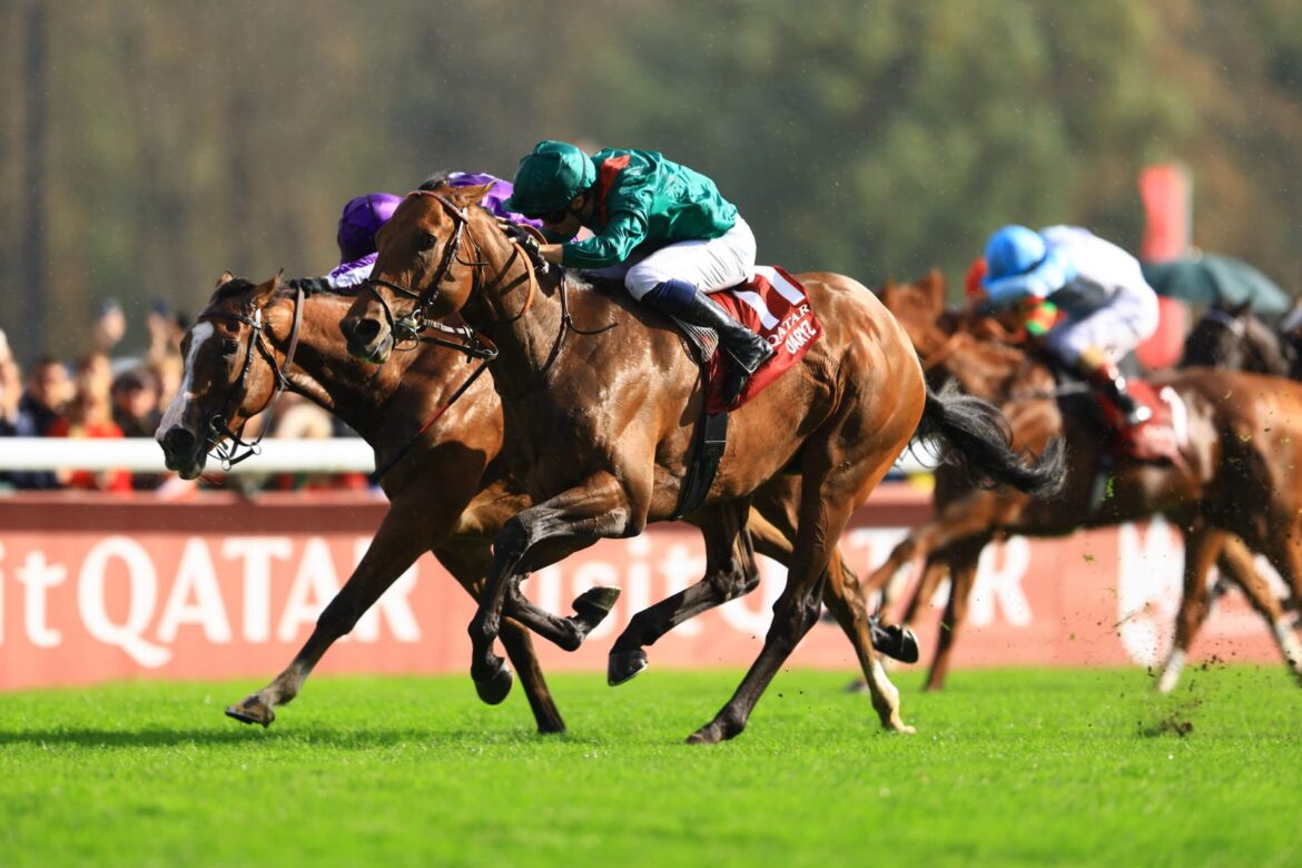 Japan's wait goes on after another heartbreaking Arc