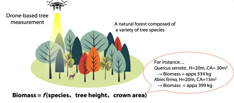 文章を入れてください