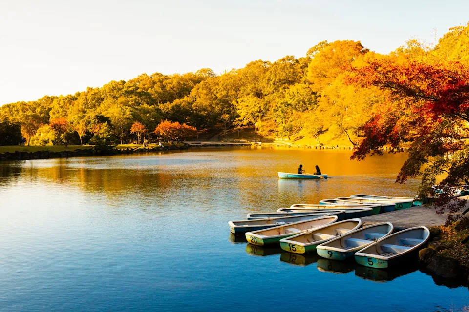 sagi ike pond in nara koen public park