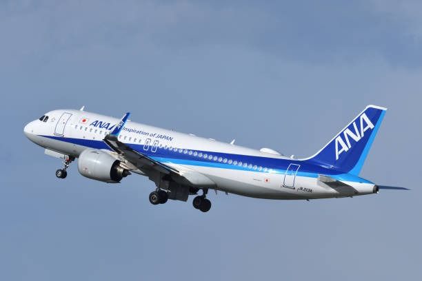 ANA plane that hit runway lights at Tokyo’s Haneda may have missed centre line during take-off ANA plane that hit runway lights at Tokyo’s Haneda may have missed centre line during take-off