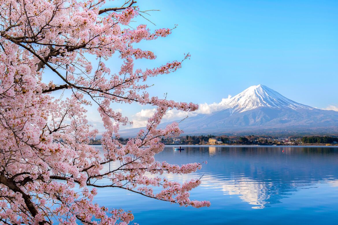 Scary Travel Warning Issued Against Mexico, Japan, and Others Over Poisoning Scary Travel Warning Issued Against Mexico, Japan, and Others Over Poisoning