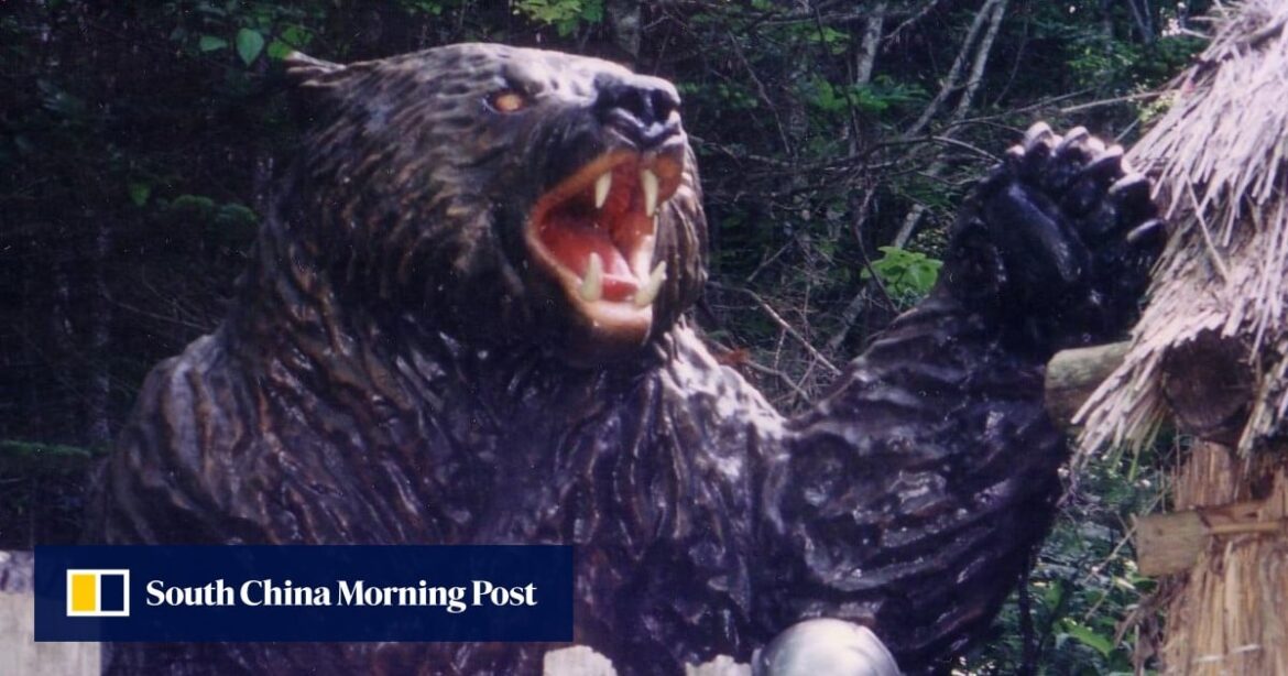 Japan’s deadliest year for bear attacks resurrects century-old nightmares Japan’s deadliest year for bear attacks resurrects century-old nightmares