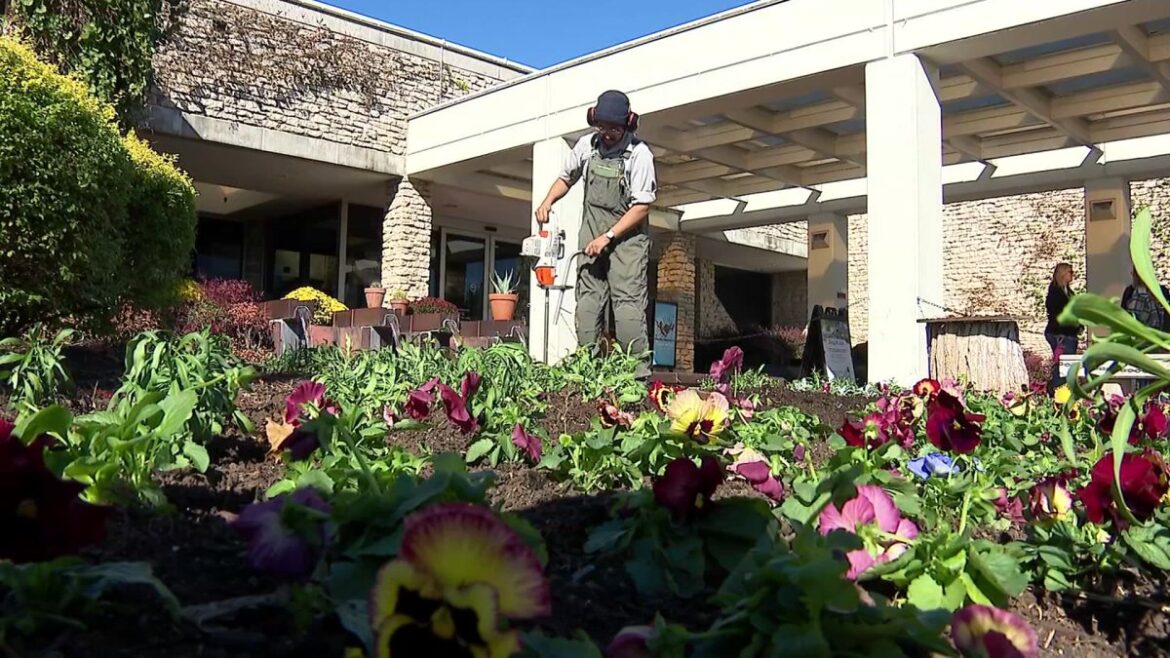Step into serenity at the Fort Worth Botanic Garden Japanese festival – NBC 5 Dallas-Fort Worth Step into serenity at the Fort Worth Botanic Garden Japanese festival – NBC 5 Dallas-Fort Worth