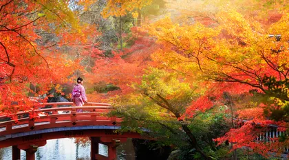 The best places for seeing the autumn leaves in Japan The best places for seeing the autumn leaves in Japan