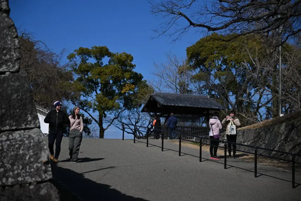 Maizuru Park, built around the ruins of Fukuoka Castle, houses several sports facilities, a courthouse, and an art museum.