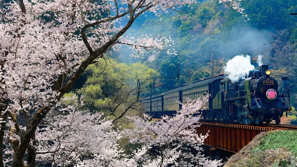 Oigawa Railway, Japan