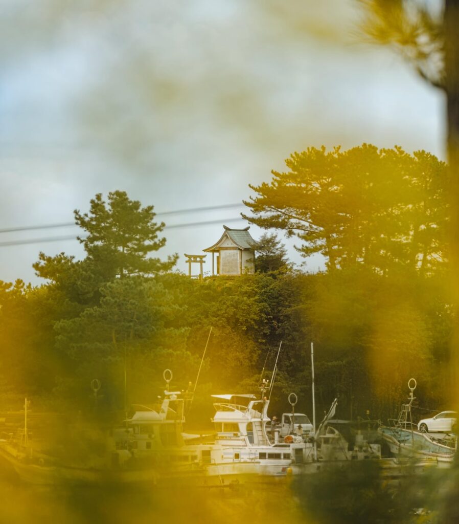 Kuroshio Town - Kochi