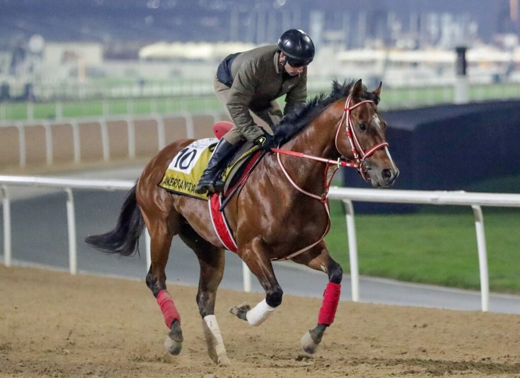 Group 3-Placed Into Mischief Colt American Stage Back To Work at Kyoto Group 3-Placed Into Mischief Colt American Stage Back To Work at Kyoto