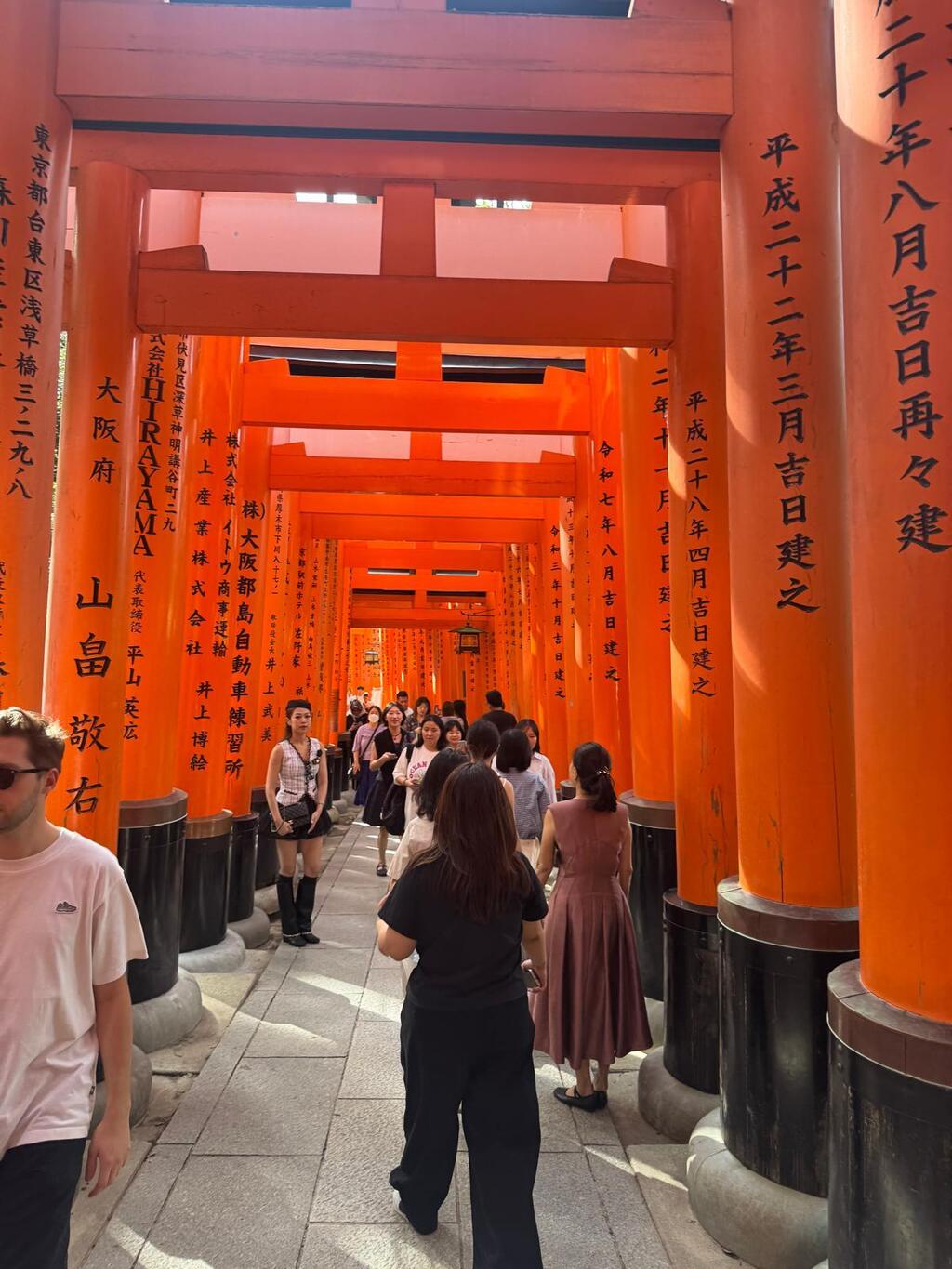 'Kyoto, the worst kind of nightmare'  (Photo: Shelly Tal)  "קיוטו, סיוט כל הסיוטים"