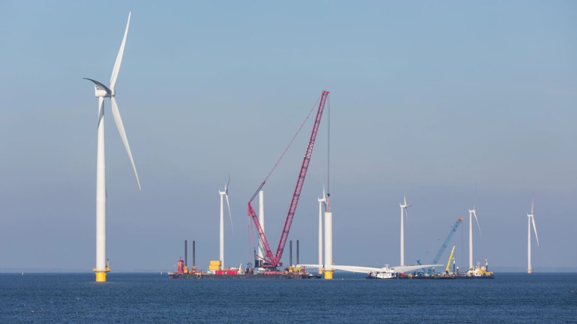 Japan offshore update flags re-auctions, port strain