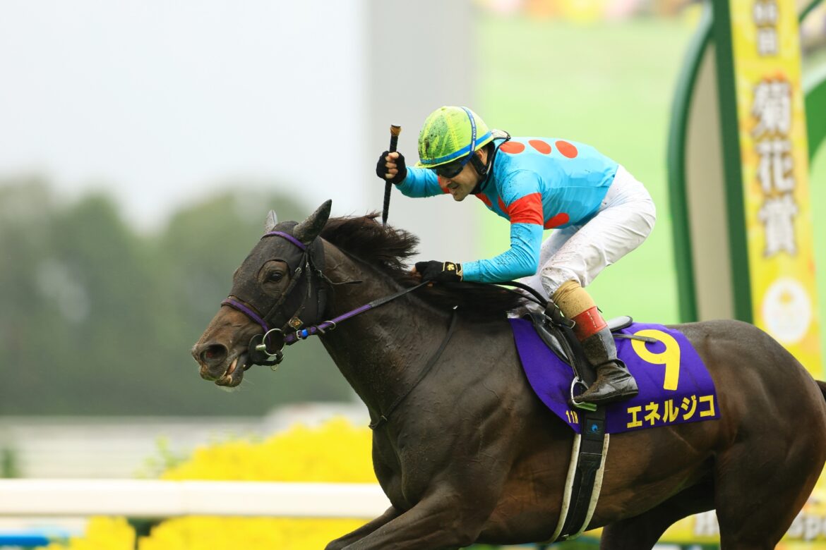 Energico wins 2025 G1 Kikuka Sho for Lemaire and Duramente Energico wins the G1 Kikuka Sho
