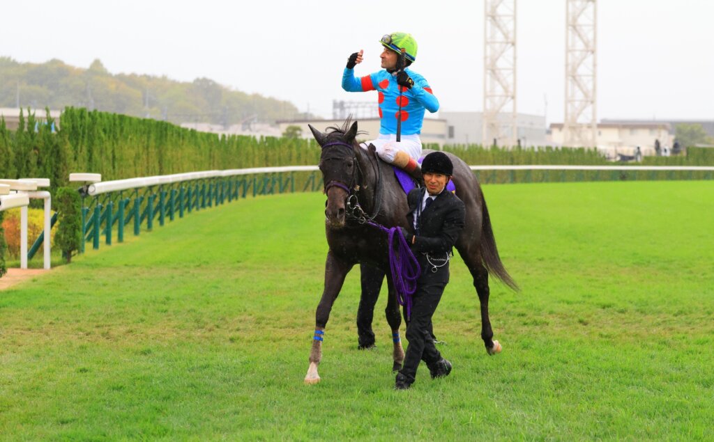 Energico wins the G1 Kikuka Sho