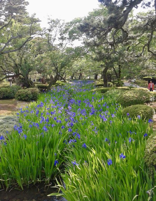Spring in Kanazawa