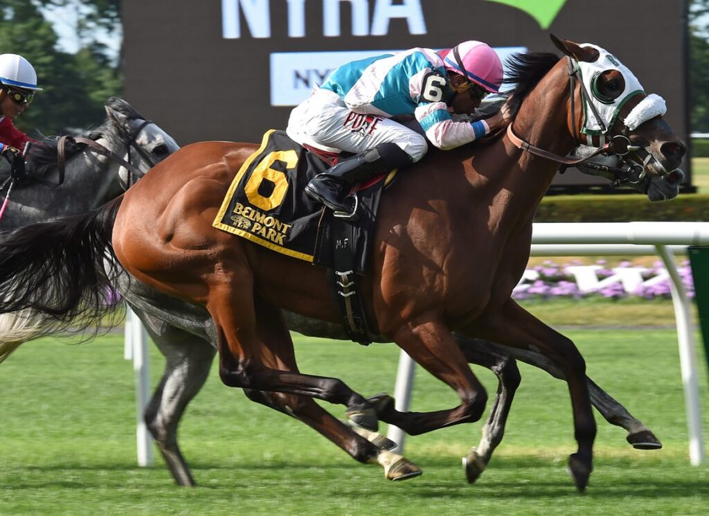 Well-Related Nyquist Filly Debuts On the Grass at Kyoto