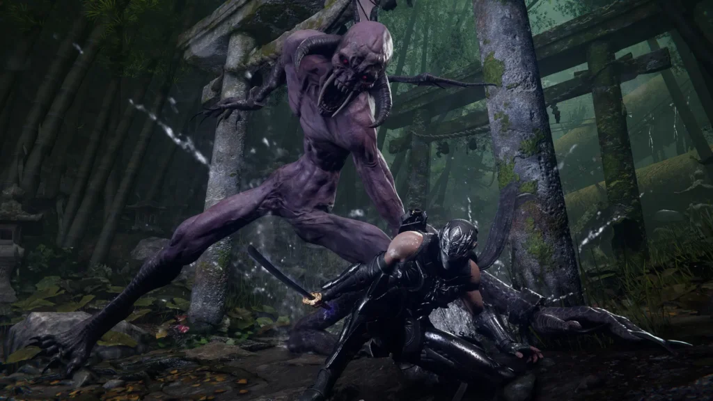 NinjaGaiden4Stock2