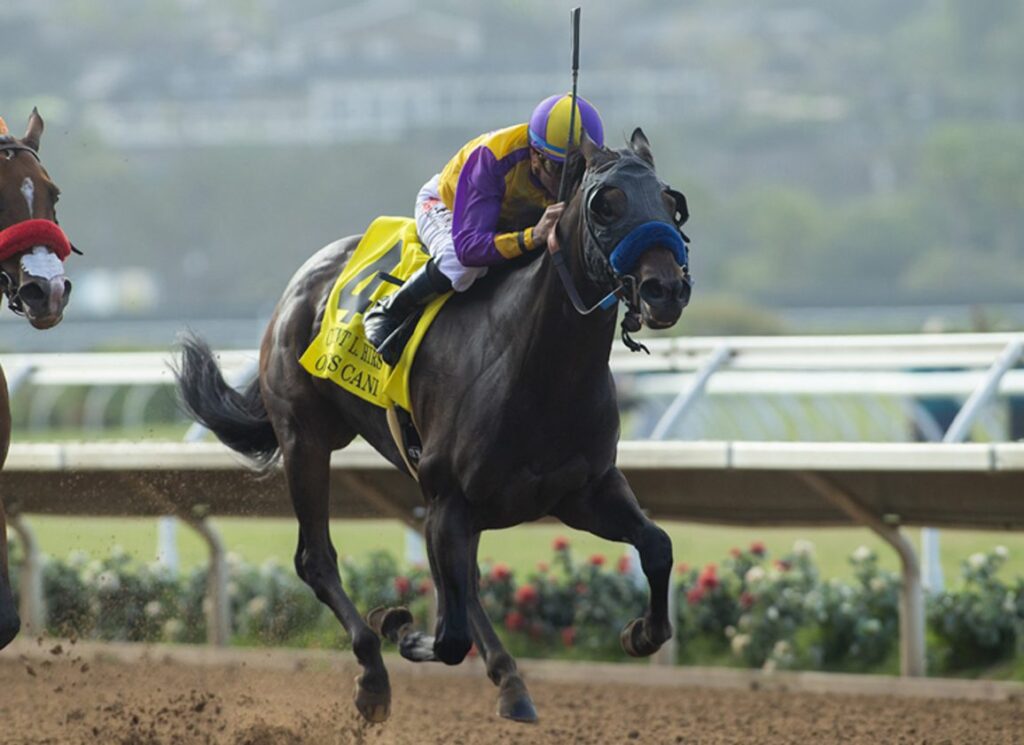 Into Mischief Colt Danon Figo Goes For Three Straight at Kyoto