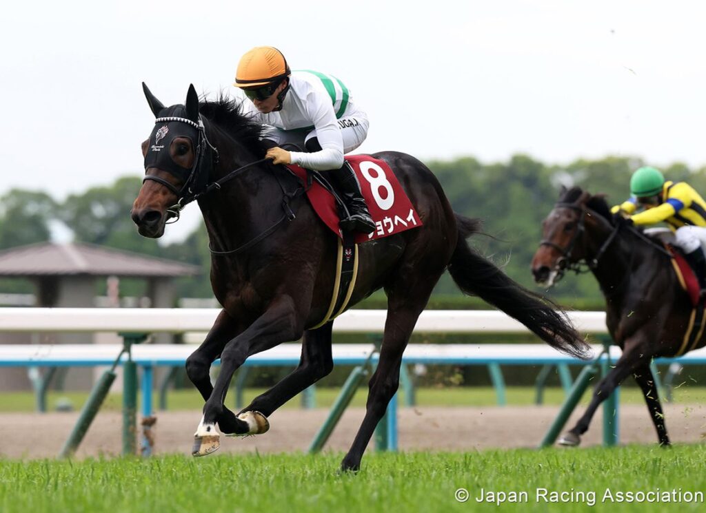 Japanese Triple Crown Wraps Up at Kyoto on Sunday Japanese Triple Crown Wraps Up at Kyoto on Sunday