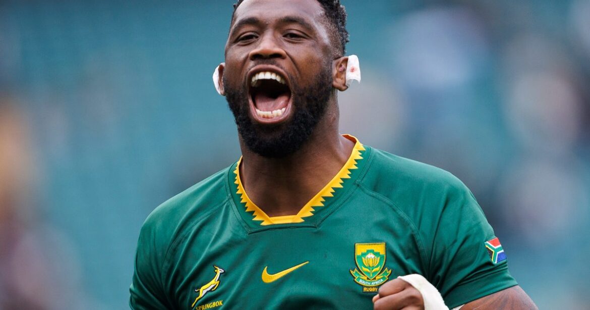 South Africa v Japan Autumn Internationals 2025 TV channel, UK time, live stream South Africa v Japan Autumn Internationals 2025 TV channel, UK time, live stream