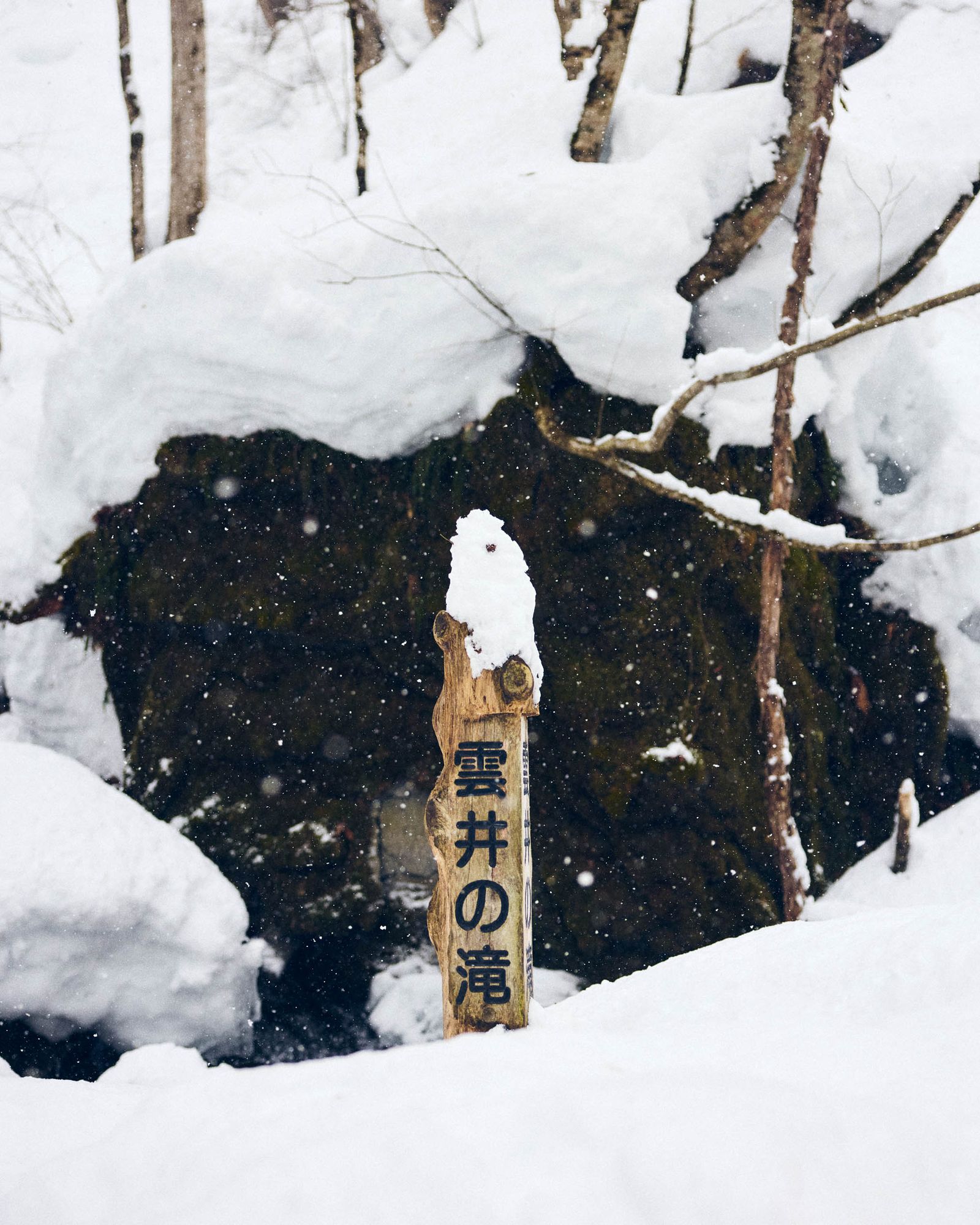 A trail marker for Kumoi Falls in the Oirase Gorge