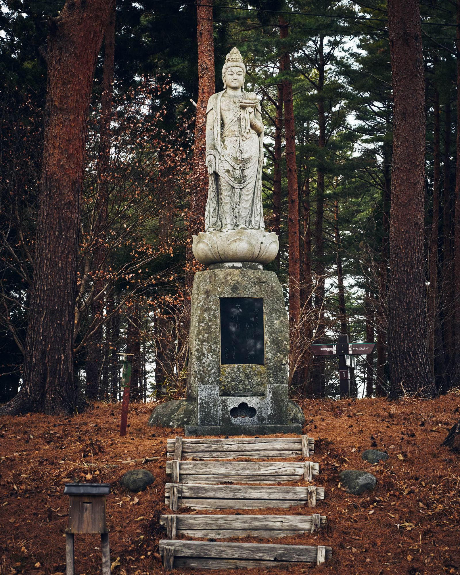 a Buddhist statue in Sanriku Fukkō National Park