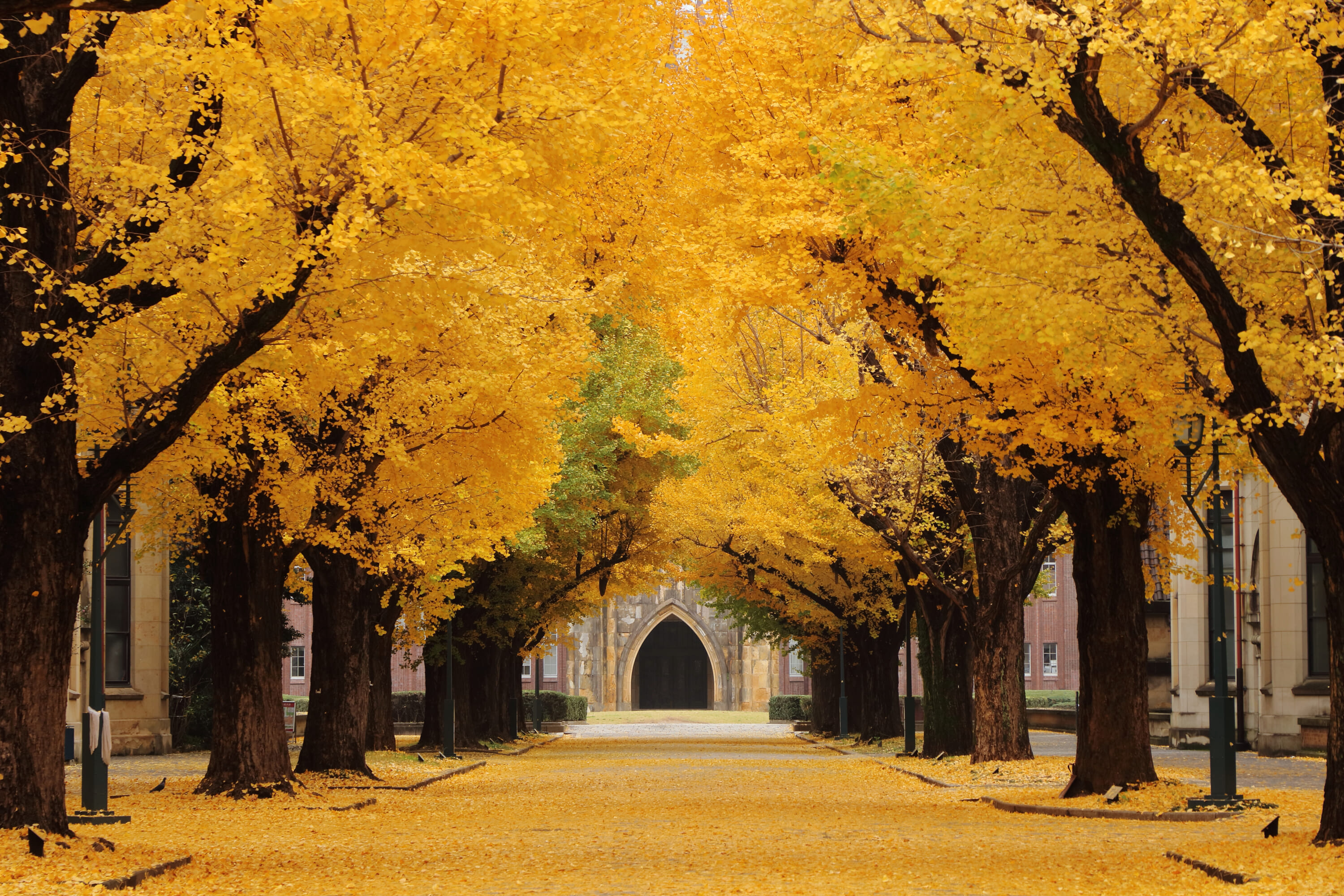 UTokyo 