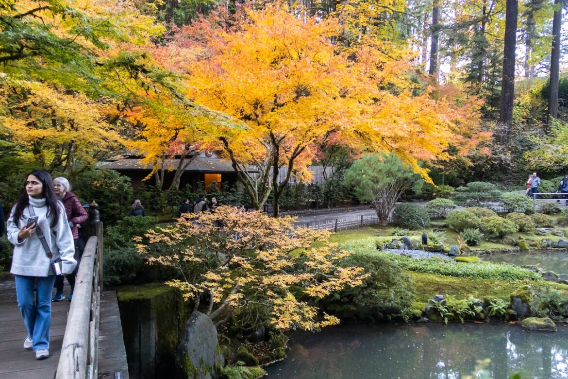 Portland Japanese Garden extends hours for leaf peepers this fall Mostly Sunny