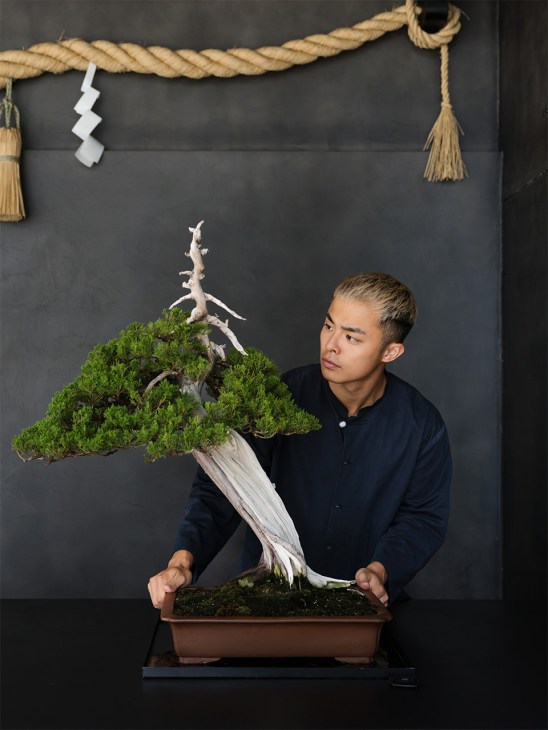Yutaro Miyamaru